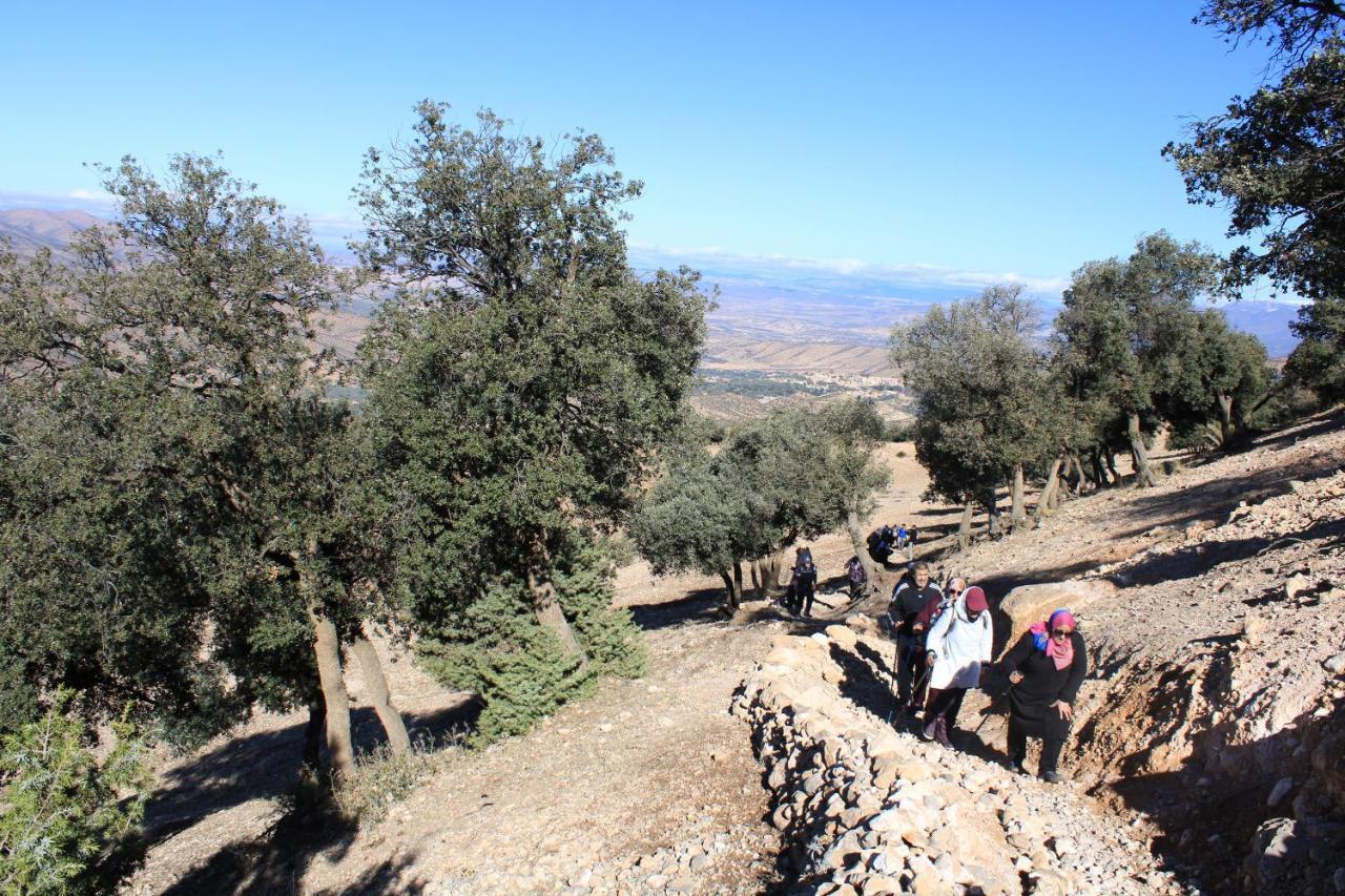 Gite Skoura Caid Bou Malla Exterior foto